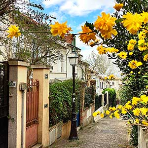 Rue de Mouzaia Paris