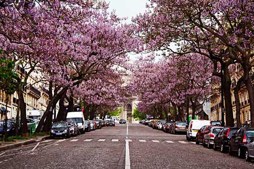 Avenue Carnot Paris 17e