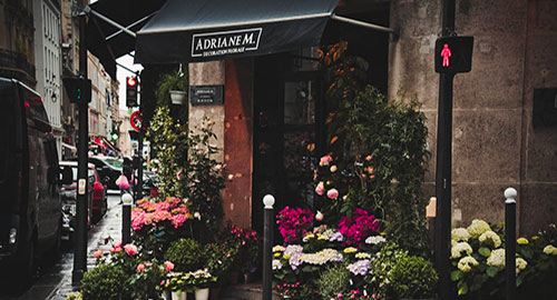 recherche immobiliere boutique